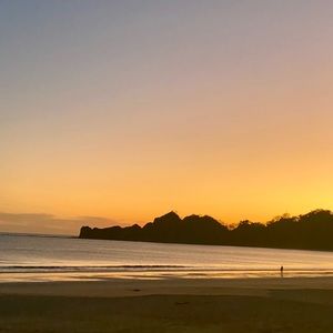 Meet your Posher, Harper